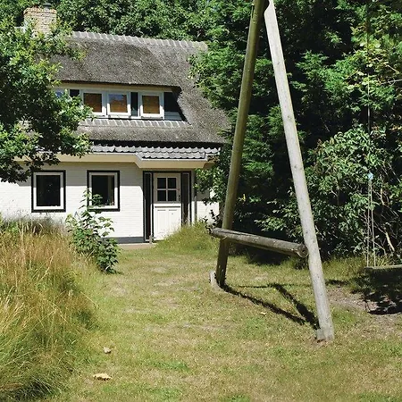 Velduil De Cocksdorp (Texel)