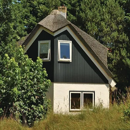 Velduil * De Cocksdorp (Texel)